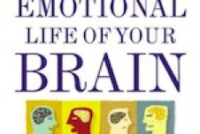 Thumbnail for The Emotional Life of Your Brain