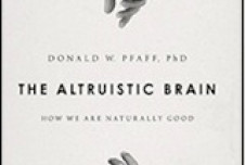 How Altruistic is Your Brain?