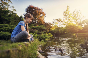 Girl sitting cross-legged looking into pond with ducks, with plants and trees behind