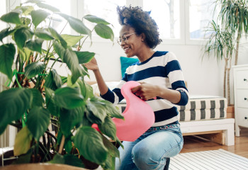 How Do Plants Make Your Home Happier?
