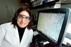Daniela Kaufer in the lab.
