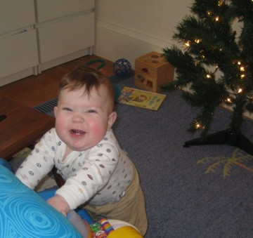 Eating my first fake Christmas tree