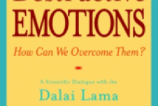 Book Review: Destructive Emotions