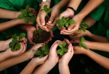 Five Ways to Develop “Ecoliteracy”