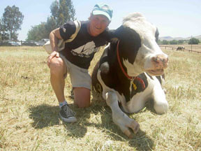 Marc and Bessie, a rescued dairy cow at <a href=“http://farmsanctuary.org/farm/ca/”>Farm Sanctuary</a>.
