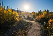 A path with fall trees on each side and sun over the horizon