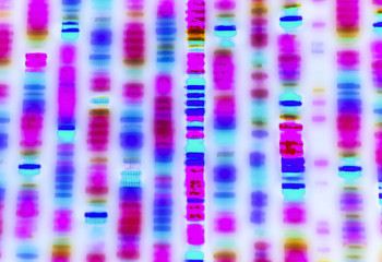 How Genetic Tests Change the Way We See Our Race