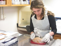 2012 Science of the Mind student Jillian Murphy examines a human brain at the Harvard Brain Bank.