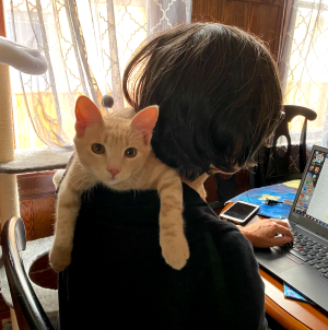 Michelle working from home with the help of her new kitten.