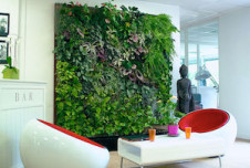 Why Your Office Needs More Nature