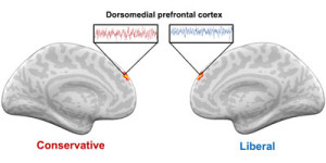 Conservative and liberal brains respond differently to hot-button vocabulary.