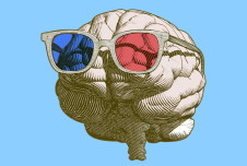 What Political Polarization Looks Like in the Brain