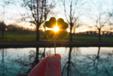 A four-leaf clover held up against the setting sun, with the sunlight streaming through the clover, set against a blurred background of a park with trees and a water body.