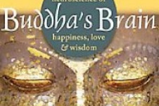 Improving Our Lives from the Inside Out: A Review of Buddha’s Brain