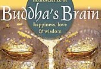 Improving Our Lives from the Inside Out: A Review of Buddha’s Brain