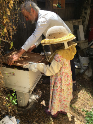 Cross-generational beekeeping in Courtney Martin’s cohousing community.