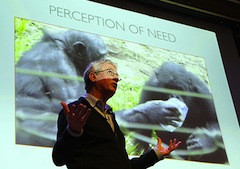 Frans de Waal: Like humans, along with aggression, chimps’ behavior includes reconciliation, empathy and consolation.