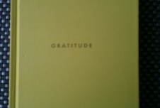 Thumbnail for Can’t Get Therapy? Try Gratitude and Kindness