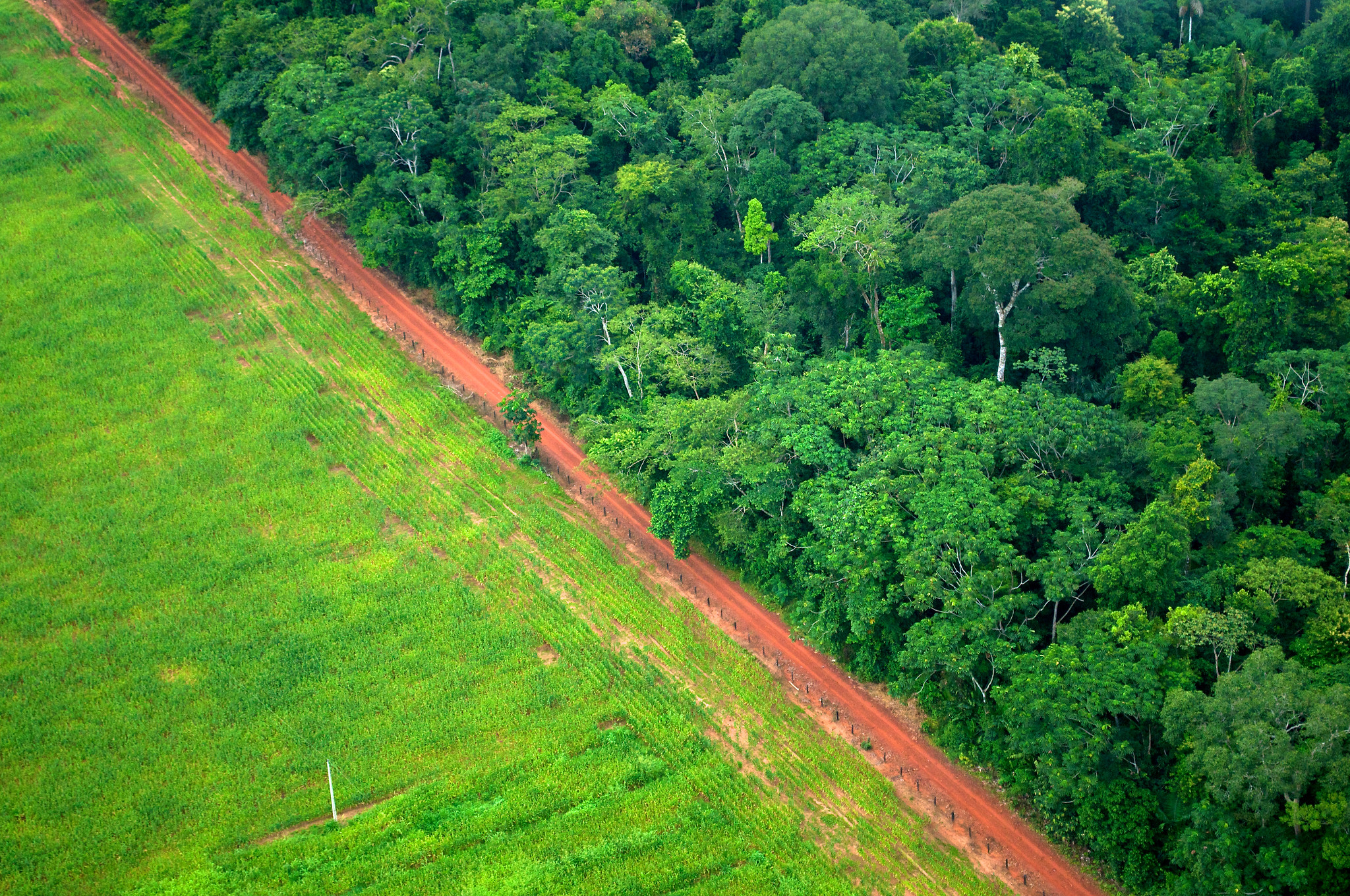 Aerial view of forest and agricultural land in Brazil