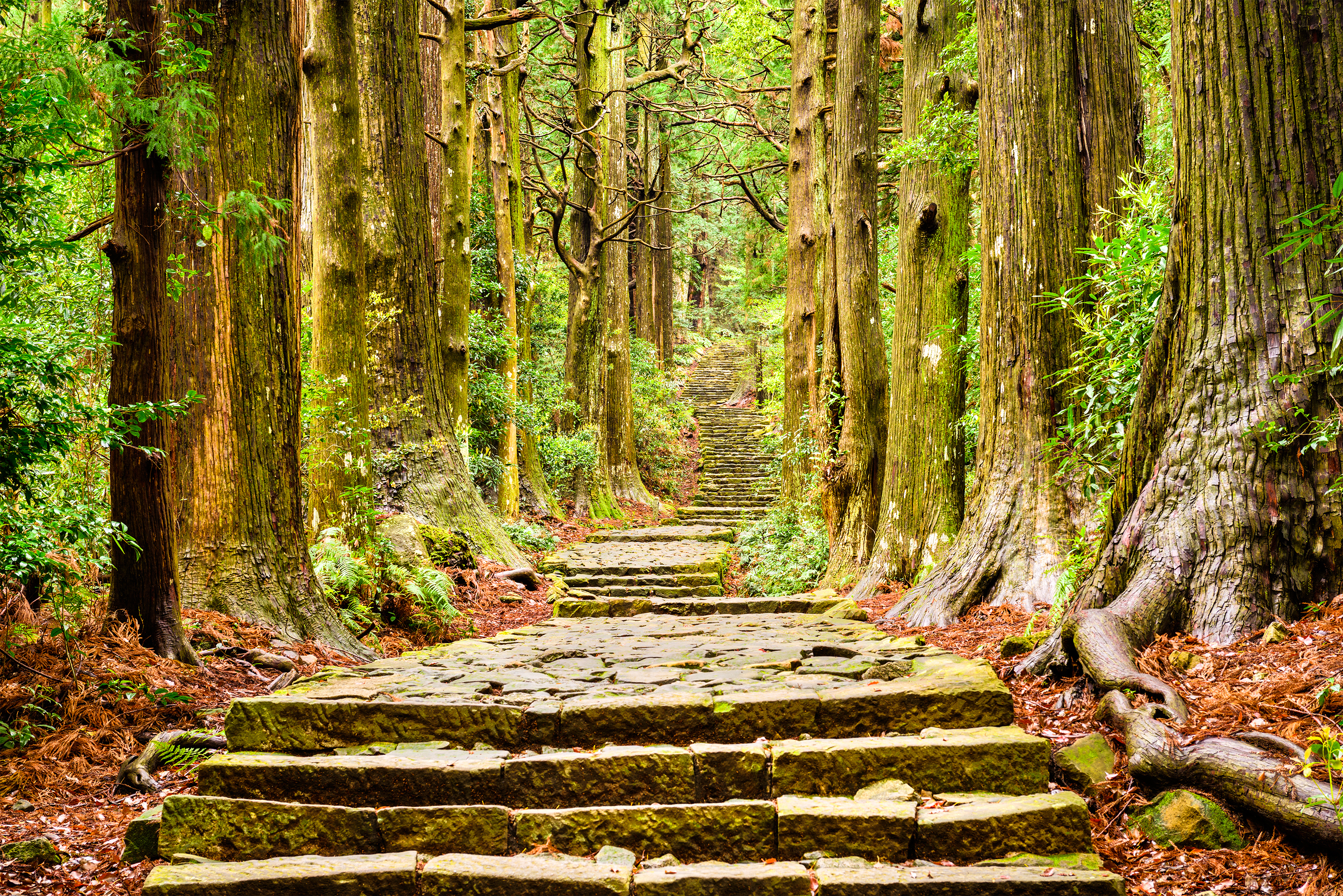 Study: Hiking Makes You Happier