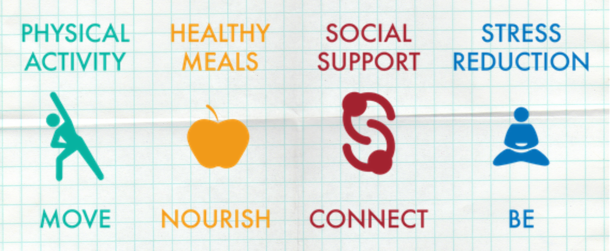 SHE - Schools for Health in Europe Network Foundation