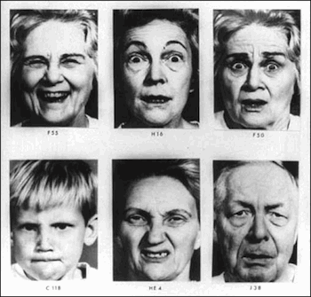 Human Facial Expressions Chart