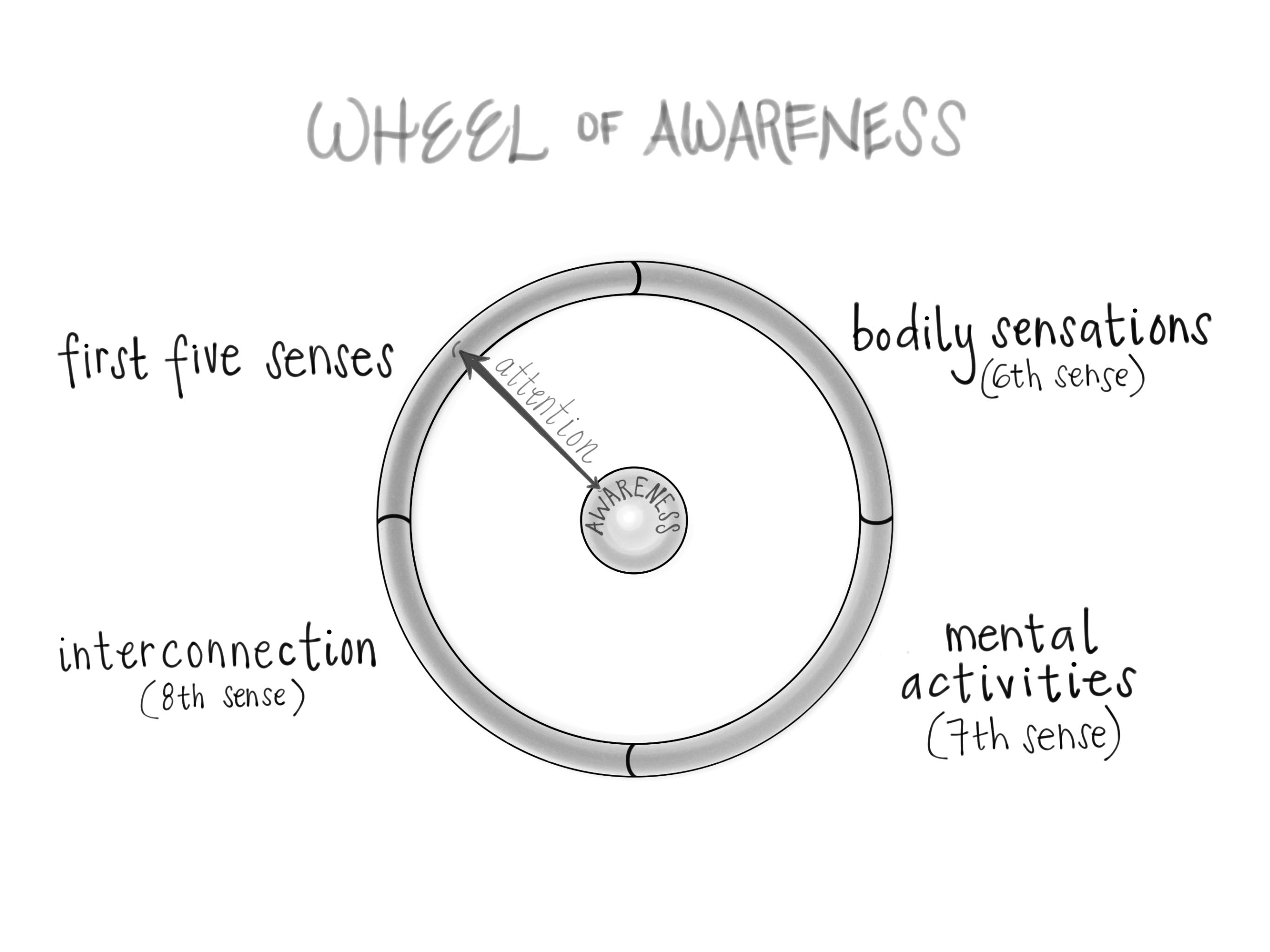 wheel of awareness